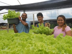 Imagem da notícia - Independência: A valorização da Agricultura Familiar