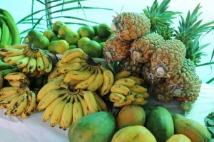 Imagem da notícia - ADS realiza Feira de Produtos Regionais e Balcão de Agronegócios na Central de Abastecimento, em Iranduba