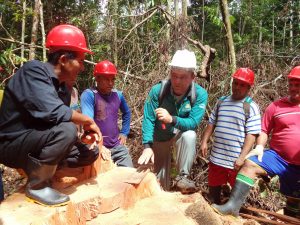 Imagem da notícia - Cinco comunidades da RDS Rio Negro recebem licenças para manejo florestal sustentável