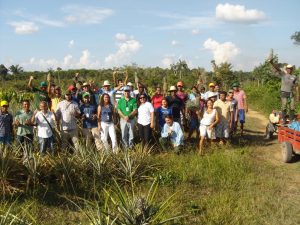 Imagem da notícia - Agricultores de Careiro da Várzea recebem visita de técnicos de instituições que apoiam a agroecologia e produção orgânica no Amazonas