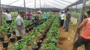 Imagem da notícia - Afeam investe mais de R$ 40,7 milhões em crédito direcionado aos produtores rurais do Amazonas