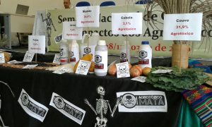 Imagem da notícia - IDAM participa da Semana Nacional de Combate aos Impactos dos Agrotóxicos no Amazonas