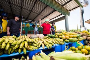 Imagem da notícia - Governador José Melo visita projetos para o modelo da Matriz Econômica Ambiental em Manacapuru