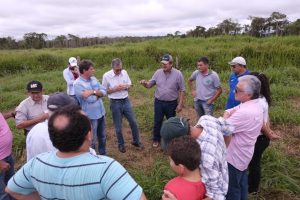 Imagem da notícia - Extensão rural e assistência técnica do Sistema Sepror fortalecem pecuária de corte e leiteira