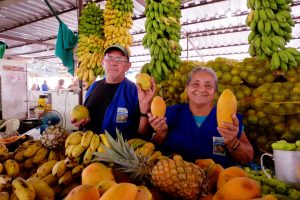 Imagem da notícia - Produtores rurais podem fornecer produtos para a merenda escolar