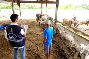 Imagem da notícia - Idam e Adaf firmam cooperação técnica para ampliar defesa sanitária no Estado