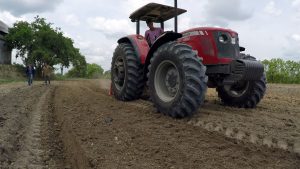 Imagem da notícia - Idam completa 21 anos e reforça assistência técnica para ampliar atividades produtivas no Estado