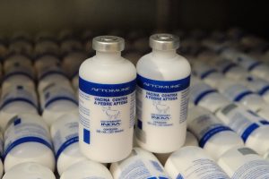 Imagem da notícia - Vacinas contra a febre aftosa começam a ser comercializadas no primeiro dia da campanha