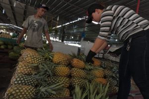 Imagem da notícia - Abacaxi e tambaqui com preços mais baixos a partir desta sexta-feira