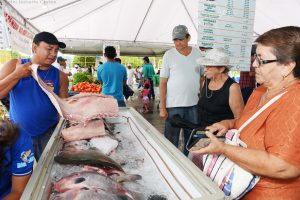 Imagem da notícia - Feirão do Pescado garante peixe mais barato durante quatro dias