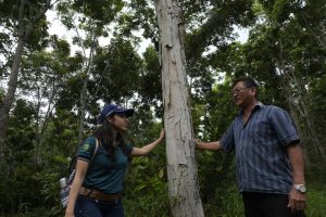 Imagem da notícia - Governo melhora assistência técnica e incentiva projetos de reposição florestal no Estado