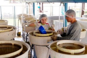 Imagem da notícia - Melhorando genético das espécies vai impulsionar piscicultura no Amazonas