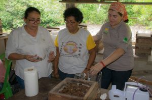 Imagem da notícia - O projeto “Conhecendo as abelhas indígenas sem ferrão: a Meliponicultura como alternativa econômica para a agricultura familiar” reúne técnicos, alunos e produtores na zona rural de Manaus
