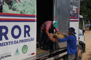 Imagem da notícia - Produtores de banana e pimenta-de-cheiro da zona rural de Rio Preto da Eva comercializam produção para Polo Industrial de Manaus