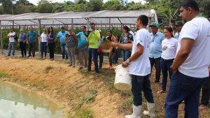 Imagem da notícia - Agricultores familiares da zona rural de Manaus diversificam produção para garantir renda