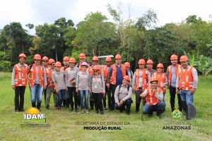 Imagem da notícia - Extensionistas do IDAM realizam aula prática durante o curso de Manejo Florestal