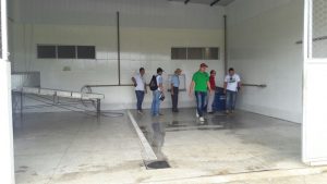 Imagem da notícia - Extensionistas Rurais do Idam visitam Agroindústria de Polpas de Frutas em Manacapuru