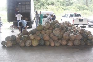 Imagem da notícia - Entidades filantrópicas são beneficiadas com alimentos da agricultura familiar