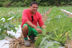 Imagem da notícia - Aplicativo desenvolvido por cientistas traz benefícios a agricultores