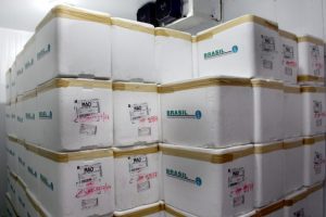 Imagem da notícia - Sepror recebe as vacinas para a Campanha de Combate à Febre aftosa
