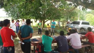 Imagem da notícia - Idam promove excursão sobre o cultivo do açaí em Tefé
