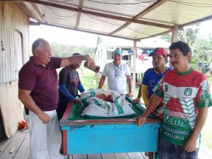Imagem da notícia - Idam e Conab entregam 310 quilos de sementes de milho em Beruri