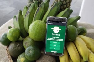 Imagem da notícia - Pesquisadores da Embrapa lançam aplicativo que vai ajudar produtores rurais do Amazonas