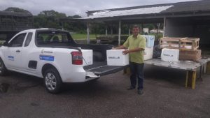 Imagem da notícia - Idam em Tabatinga recebe 8.400 doses de vacina contra febre aftosa, que serão distribuídas para municípios da região.