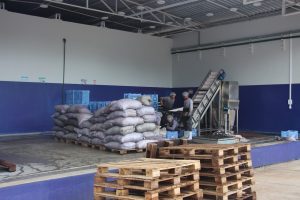 Imagem da notícia - Grupo Frooty Brasil inaugura fábrica de açaí em Manacapuru