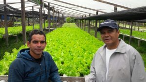 Imagem da notícia - Agricultor vinculado ao Programa de Regionalização da Merenda Escolar (Preme) recebe visita técnica do Idam no município de Tabatinga