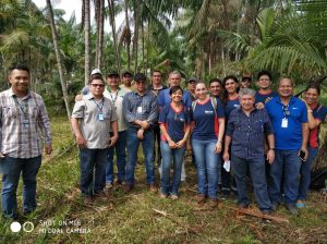 Imagem da notícia - Idam participa do curso sobre a cultura do Açaí em Iranduba