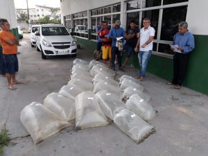 Imagem da notícia - Unidade local do Idam em Manaus entrega 41 mil alevinos a piscicultores