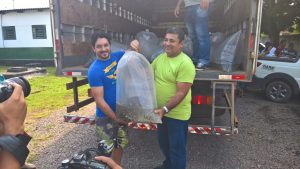 Imagem da notícia - Sistema Sepror entrega 115,5 mil alevinos em Presidente Figueiredo