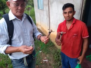 Imagem da notícia - Agricultor de 22 anos se destaca na produção de hortaliças e frutas em Urucurituba