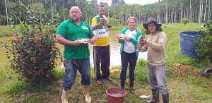 Imagem da notícia - Piscicultura ganha destaque no cenário do agronegócio no município de Codajás