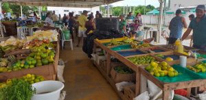 Imagem da notícia - Produtores rurais e agricultores familiares participam de feira em Novo Aripuanã