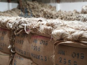 Imagem da notícia - Idam trabalha para que produtores rurais e agricultores familiares recebam subvenção