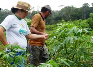 Imagem da notícia - Projetos para incentivar cadeias produtivas no Amazonas serão discutidos em Encontro de Gerentes