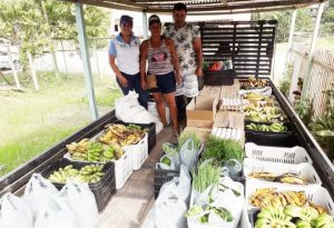 Imagem da notícia - Agricultores familiares de Santo Antônio do Içá irão fornecer mais de 39,6 toneladas de alimentos para a merenda escolar