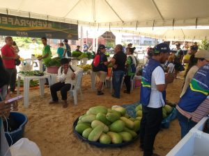 Imagem da notícia - Inauguração de feira de produtos regionais aquece economia em Benjamin Constant