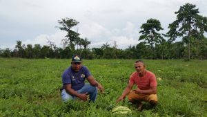 Imagem da notícia - Tecnologia da mecanização agrícola alcança comunidades distantes de Caapiranga