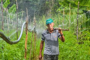 Imagem da notícia - Sepror realiza ‘Dia no Campo’ com agricultores orgânicos de Iranduba