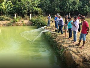 Imagem da notícia - Sistema Sepror realiza curso de Piscicultura em Manacapuru para melhoria da qualidade do pescado de cativeiro