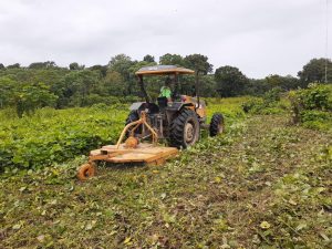 Imagem da notícia - Investimento em equipamentos beneficia agricultores familiares do Amazonas