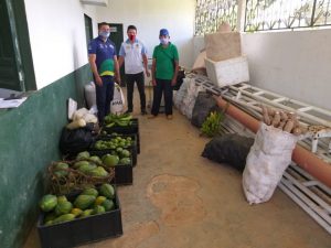 Imagem da notícia - Corrente de colaboração garante renda aos agricultores familiares e alimentos a entidades filantrópicas