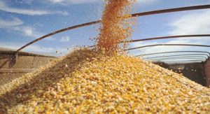 Imagem da notícia - Aos 160 anos, Ministério da Agricultura prevê crescimento de 27% na produção de grãos