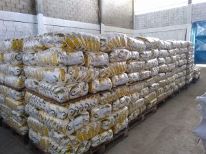Imagem da notícia - Associação de Eirunepé amplia produção anual de farinha com o apoio do Governo do Estado