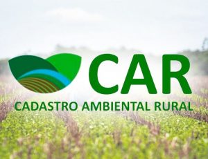 Imagem da notícia - Idam e GIZ discutem planejamento estratégico para gestão do CAR no Amazonas