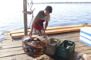 Imagem da notícia - Governo do Amazonas ultrapassa a marca de 2.500 emissões de carteiras de pesca