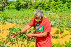 Imagem da notícia - Produção orgânica cresce entre agricultores familiares no Amazonas